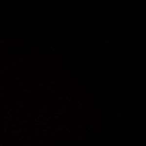 Meet your Posher, Annalyse